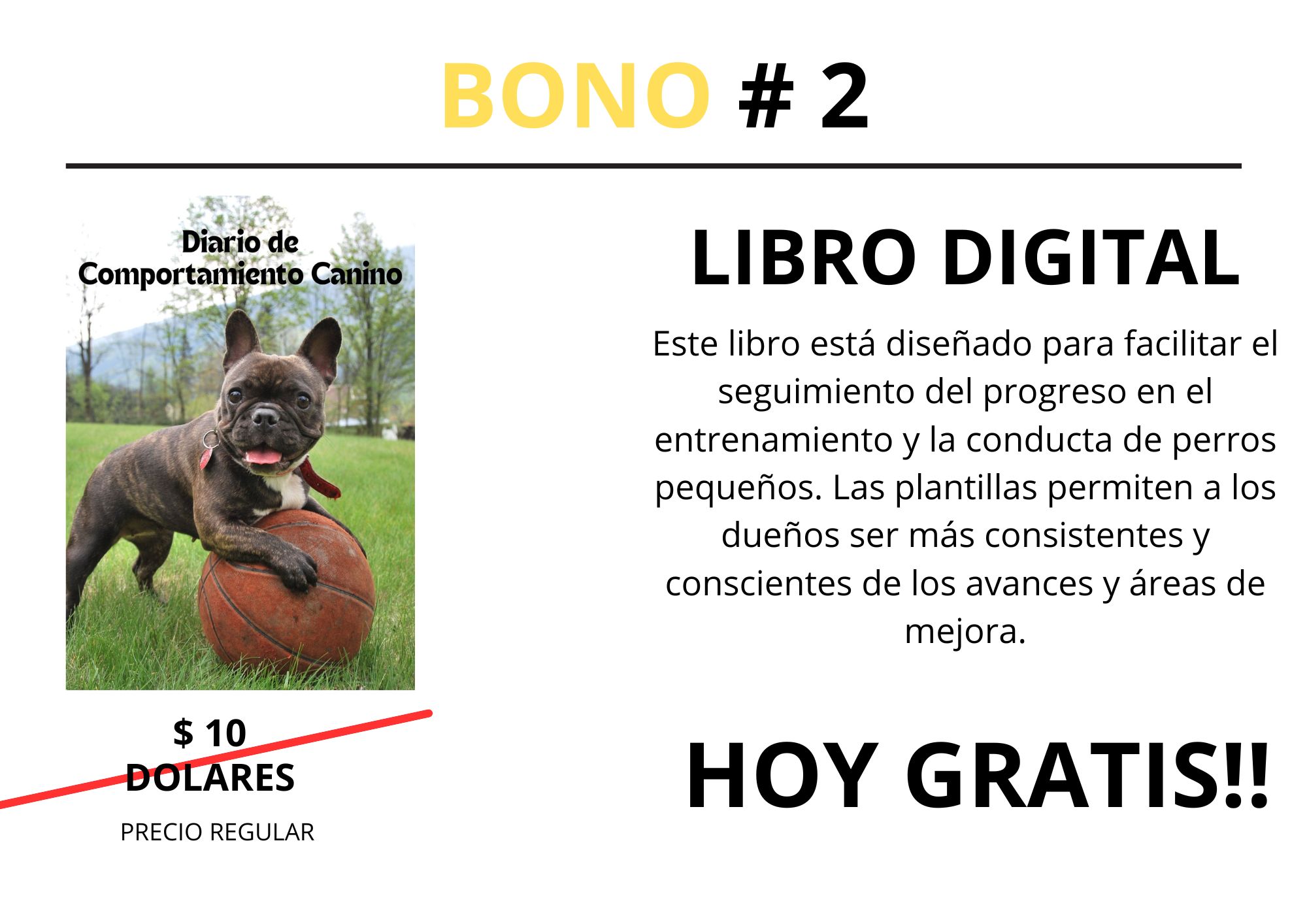 BONO # 1 (1)