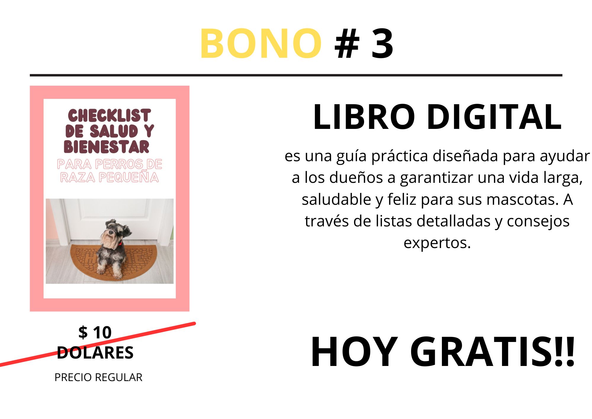 BONO # 1 (2)