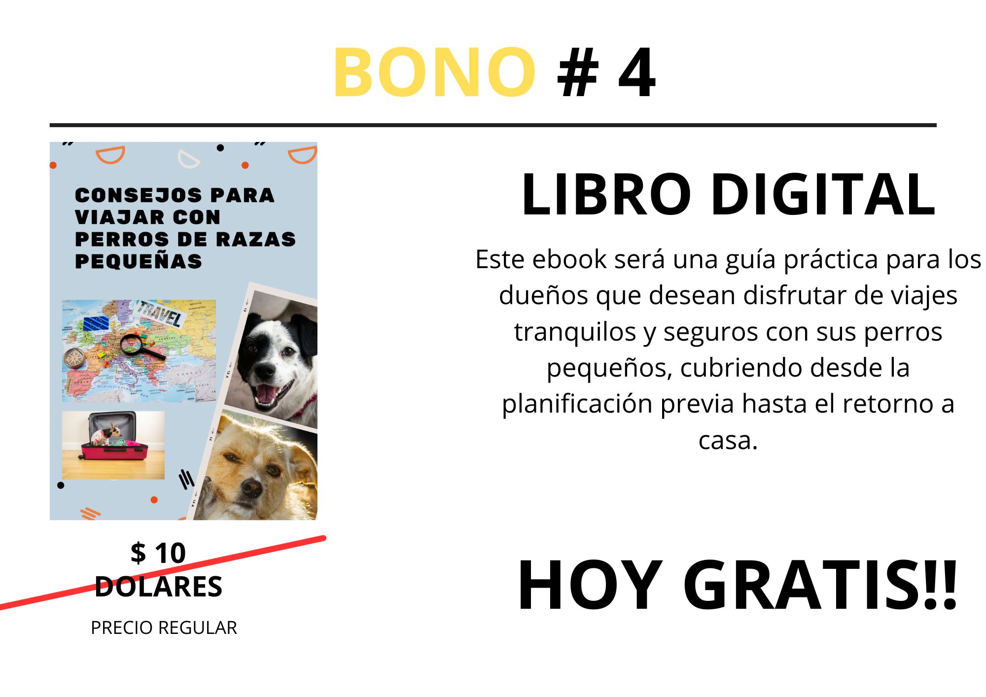 BONO # 1 (3)