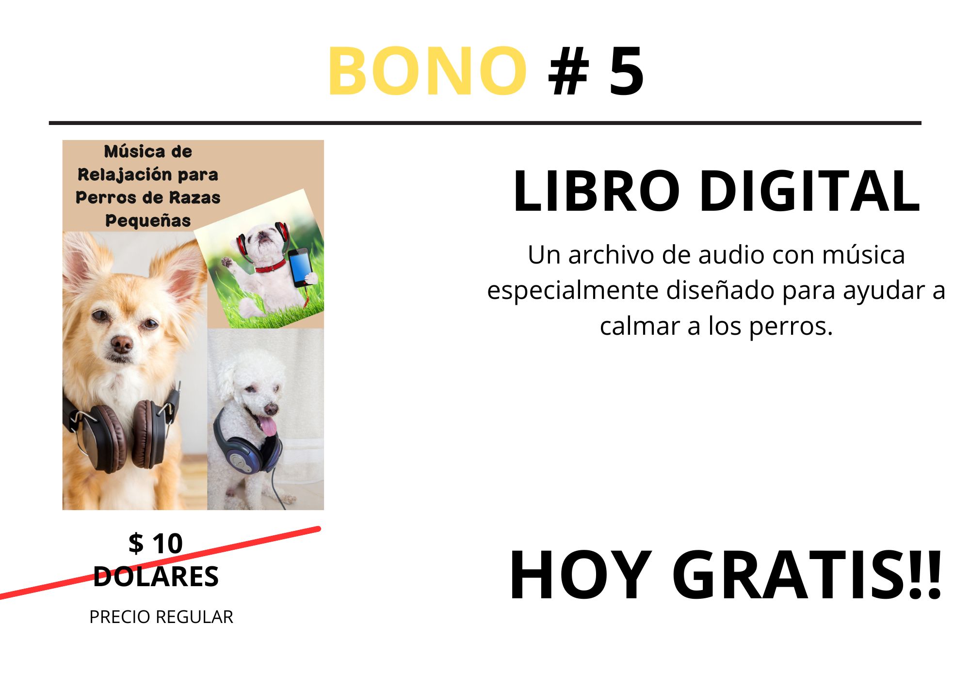 BONO # 1 (4)