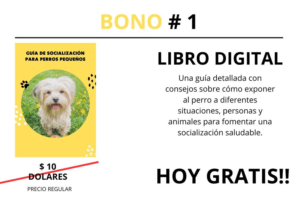 BONO # 1 (5)