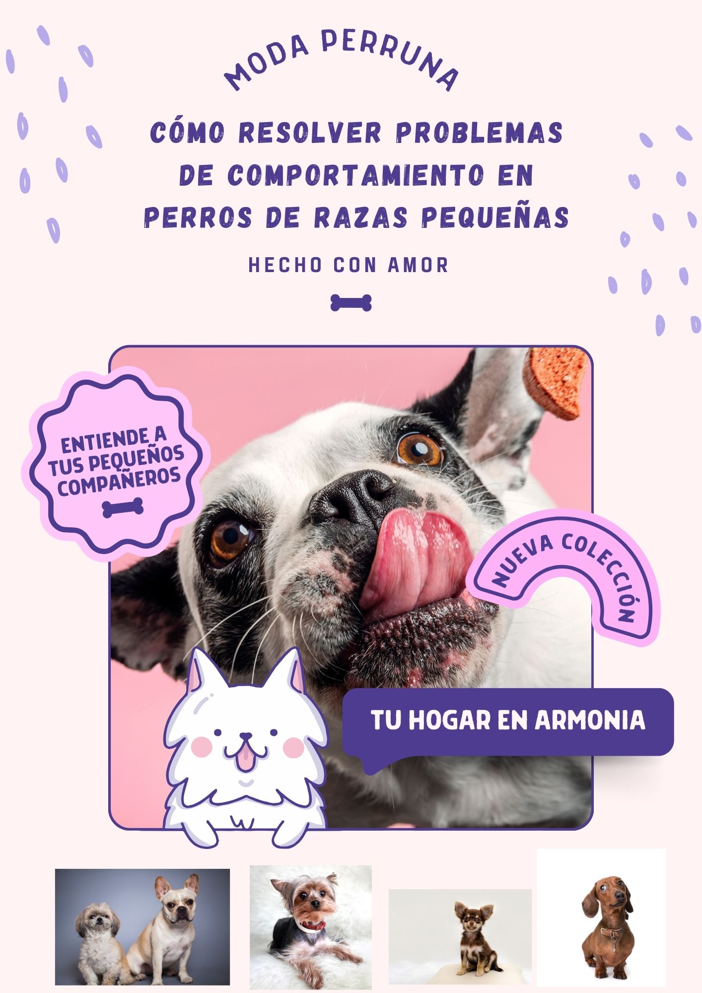 portada 1